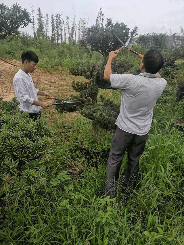 &#20048;&#40060;&#32593;&#39029;&#29256;&#22312;&#32447;&#30331;&#24405;&#45;&#108;&#101;&#121;&#117;&#40;&#20013;&#22269;&#41;