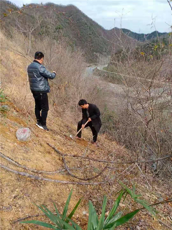 &#20048;&#40060;&#32593;&#39029;&#29256;&#22312;&#32447;&#30331;&#24405;&#45;&#108;&#101;&#121;&#117;&#40;&#20013;&#22269;&#41;