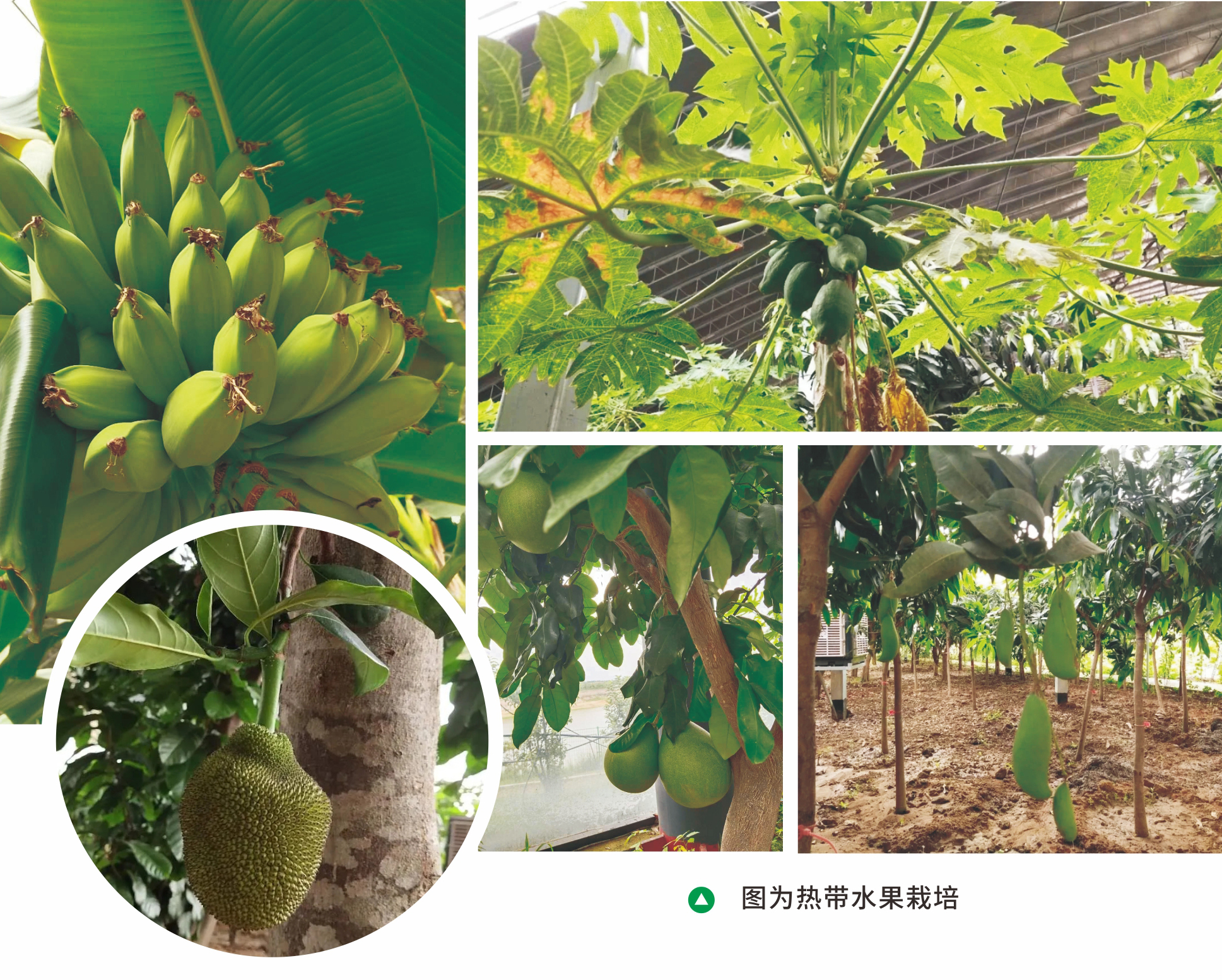 &#20048;&#40060;&#32593;&#39029;&#29256;&#22312;&#32447;&#30331;&#24405;&#45;&#108;&#101;&#121;&#117;&#40;&#20013;&#22269;&#41;