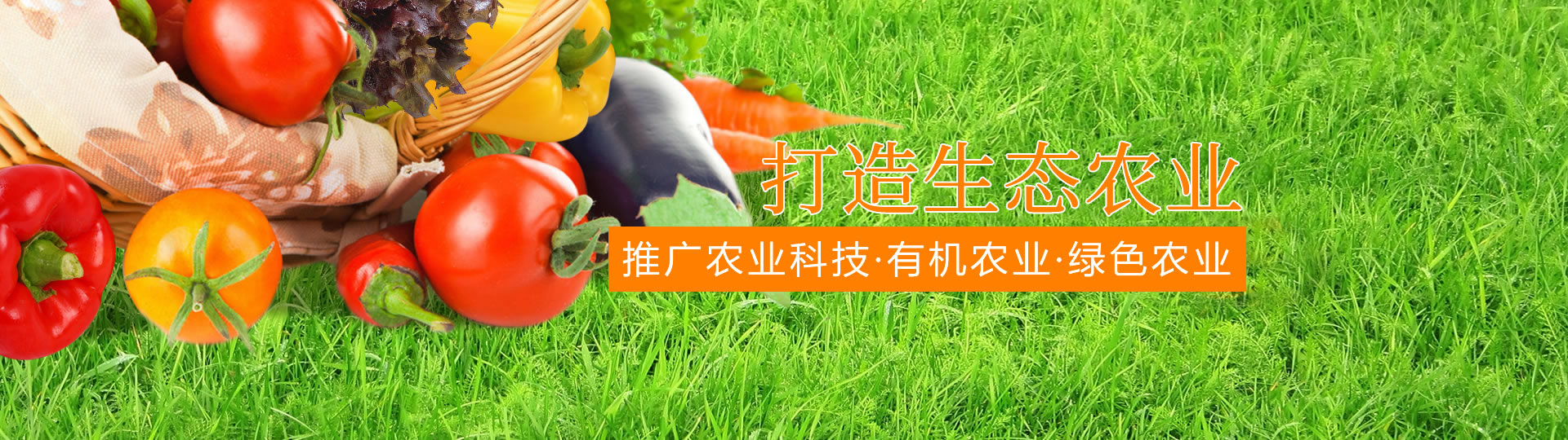 &#20048;&#40060;&#32593;&#39029;&#29256;&#22312;&#32447;&#30331;&#24405;&#45;&#108;&#101;&#121;&#117;&#40;&#20013;&#22269;&#41;